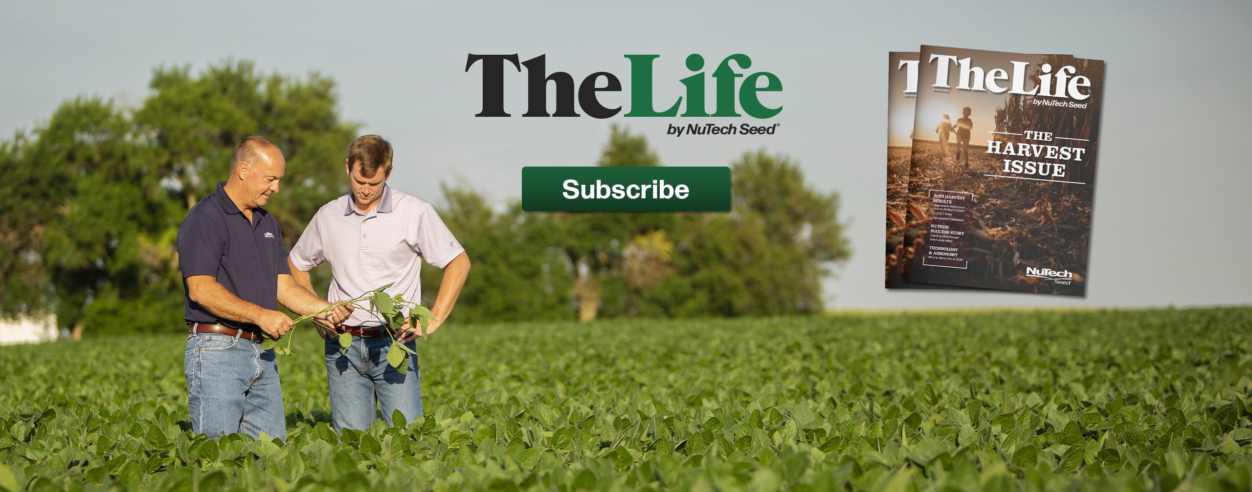 The-Life-Magazine_2024-Subscribe_Banner