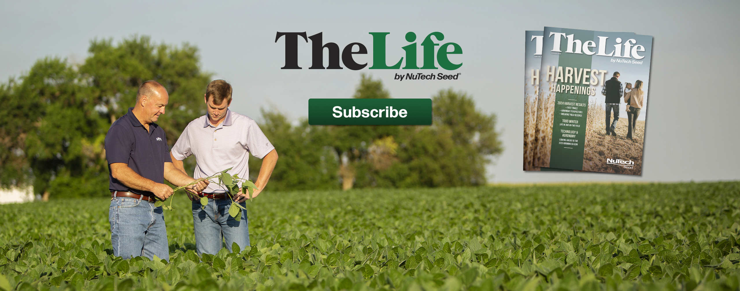 The Life Magazine 2024 Subscribe Banner