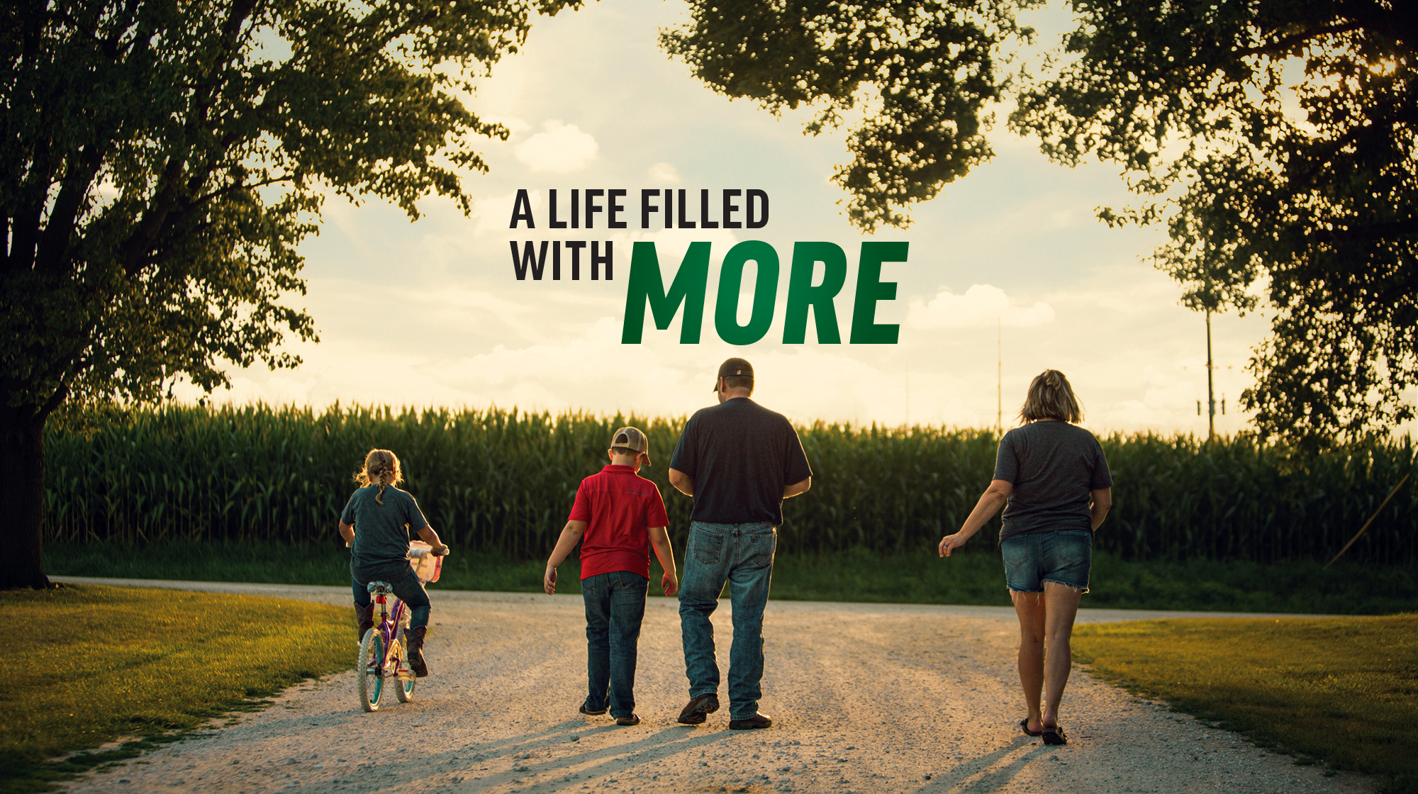 More Life_revised